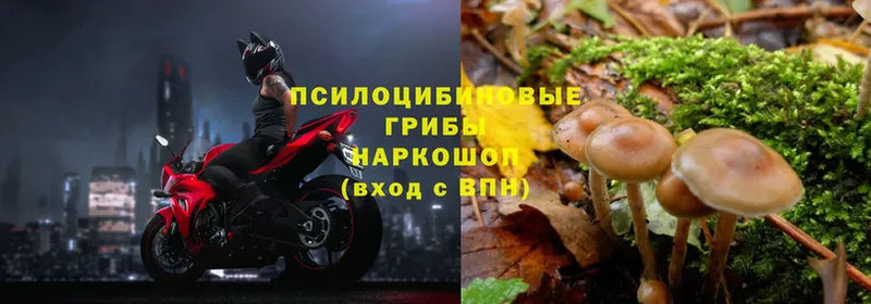 ссылка на мегу вход  Иланский  Галлюциногенные грибы мухоморы 